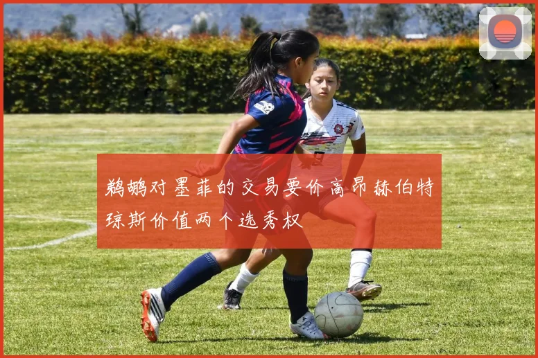 鹈鹕对墨菲的交易要价高昂赫伯特琼斯价值两个选秀权