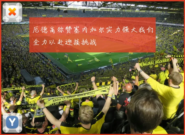 厄德高称赞塞内加尔实力强大我们全力以赴迎接挑战