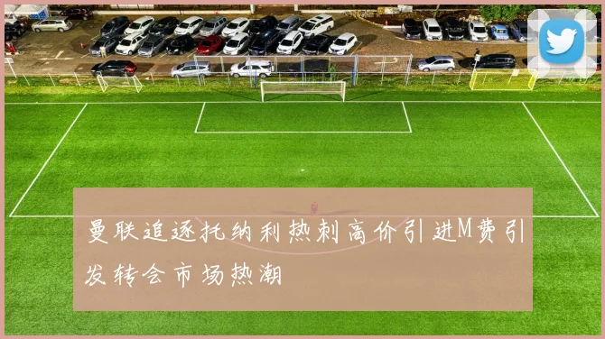 曼联追逐托纳利热刺高价引进M费引发转会市场热潮